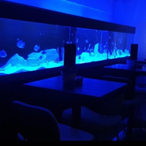 The New Blue Horse Suite At The Grumpy Schnauzer B&B Luxury Private Indoor Hot Tub Breakfast In Bed Airdrie Exterior photo